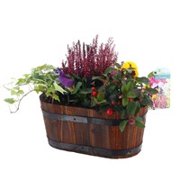 Planted Burnt Wooden Oval Barrel Seasonal Bedding - Autumn