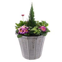 Planted Callisto Pot 12 Inches Outdoor Bedding Container - Spring