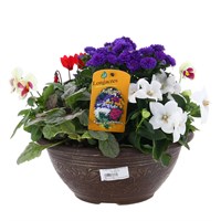 Planted Linden Bowl 12 inch Outdoor Bedding Container - Autumn
