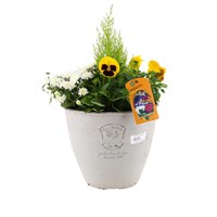Planted Loire Ridged Outdoor Bedding Container - Autumn