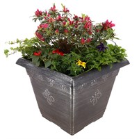 Planted Medley Sqaure 14 Inches Outdoor Bedding Container - Summer