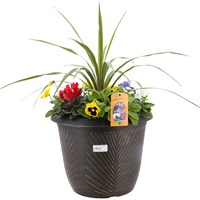 Planted Palm Pot Round 16 inch Outdoor Bedding Container - Autumn