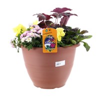 Planted Philadelphia 13 inch Outdoor Bedding Container - Autumn