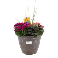 Planted Pisces 11 inch Outdoor Bedding Container - Autumn