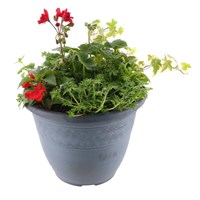 Planted Ratan Pot 11 Inches Outdoor Bedding Container - Summer