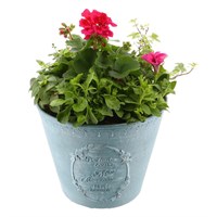 Planted Sincere Pot 23cm Outdoor Bedding Container - Summer