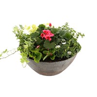 Planted Thatched Bowl Planter 17 inches Outdoor Bedding Container - Summer