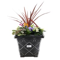 Planted Tuscan Decorative Square 31cm Outdoor Bedding Container - Autumn