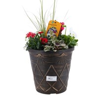 Planted Tuscany Roman 6.5L Outdoor Bedding Container - Autumn