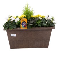 Planted Valencia Seasonal Outdoor Window Box Bedding Container - Autumn