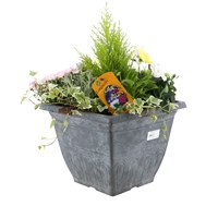 Planted Valencia Square 12 inch Outdoor Bedding Container - Autumn