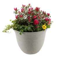 Planted Wallace Pot 38cm Outdoor Bedding Container - Summer