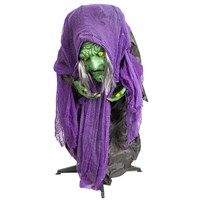 PMS 36 Inch Animated Hunchback Witch Halloween Decoration (977251)