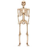 PMS 7ft Hanging Skeleton Halloween Decoration (977252)