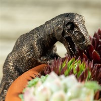 Potty Feet Decorative Pot Buddies - Antique Bronze T-Rex (PB0035)