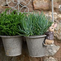 Potty Feet Decorative Pot Buddies - Beatrix Potter Benjamin Bunny (PBBP0002C)