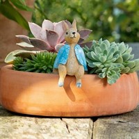 Potty Feet Decorative Pot Buddies - Beatrix Potter Peter Rabbit Sitting On Pot (BBP0001C)