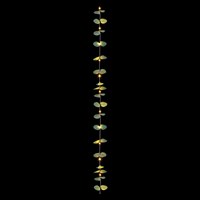 Premier 1.8m Light Up Battery Operated Artificial Eucalyptus Plant Garland (LB243140)