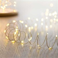 Premier 40 Warm White LED Battery Operated Ultrabrights Christmas Wire Lights (LB201359WW)