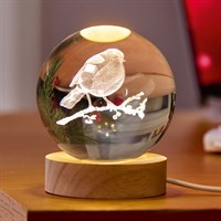 Premier 8cm 3D Robin Light Up Christmas Etched Glass Ball (UB261650)