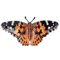 Primus Orange & Black Medium Metal Realistic Butterfly Garden Decor Wall Art (PA1712)