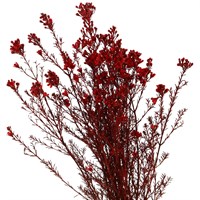 Red Sprayed Glitter Wax Flower (x5 Individual Stems)