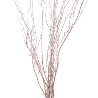 Salix Twigs Sprayed (x5 Individual Stems) - Rose Gold