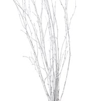 Salix Twigs Sprayed (x5 Individual Stems) - Silver