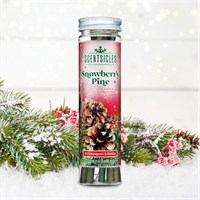 Scentsicles Hanging Snowberry Pine Christmas Ornament (6 Pack)