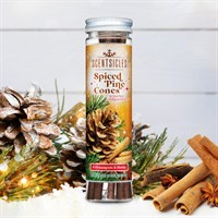 Scentsicles Hanging Spiced Pine Cones Scented Christmas Ornament (6 Pack)
