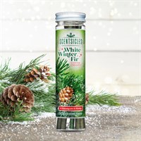 Scentsicles Hanging White Winter Fir Scented Christmas Ornament (6 Pack)