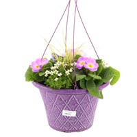 Seasonal Mixed Planted 25cm Prisma Hanging Pot - Spring