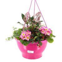 Seasonal Mixed Planted 30cm Hanging Pot - Spring