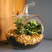 Seasonal Plant Apple Vase Indoor Arrangement 