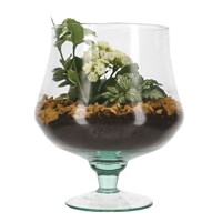 Seasonal Plant Glass Vase Indoor Arrangement 