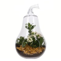 Seasonal Plant Pear Glass Indoor Arrangement 