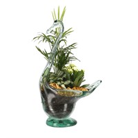 Seasonal Plant Swan Glass Indoor Arrangement