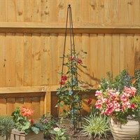 Smart Garden 0.9m Easy Garden Obelisk (4071006)
