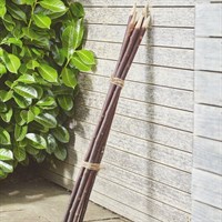 Smart Garden 1.2m Willow Garden Gro-Stakes 5 Pack (4025049)