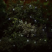 Smart Garden 50 Cool White LEDs Solar String Lights (1060020RP)