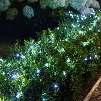 Smart Garden 200 Cool White LEDs Solar String Lights (1060040RP)