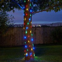 Smart Garden Firefly Solar String Lights - 100 Multi Coloured LEDs (1060270)