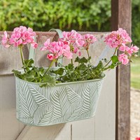 Smart Garden 12Inch Fence & Balcony Hanging Planter Fern Sage (6030367)