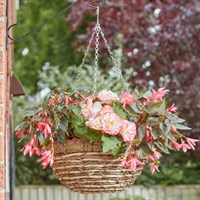 Smart Garden 14 Inch EcoGrass Garden Hanging Basket (6020205)