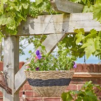 Smart Garden 14 Inch Kent Faux Rattan Garden Hanging Basket (6021063)