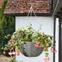 Smart Garden 14 Inch Kielder Faux Rattan Garden Hanging Basket (6021050)