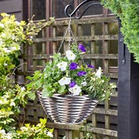 Smart Garden 14 Inch Yeoman Hanging Basket (6021045)