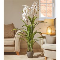 Smart Garden 140cm White Artificial Orchid (5607022)