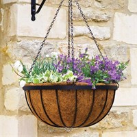 Smart Garden 16 Inch Saxon Hanging Basket (6030032)