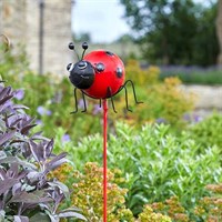 Smart Garden Big Bugs Garden Stakes - Ladybird (5031040)